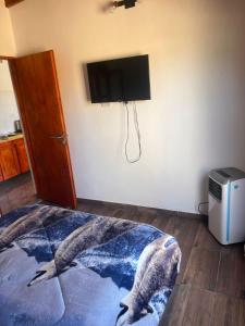 a room with a flat screen tv and a fish rug at Rojavitiva in General Belgrano