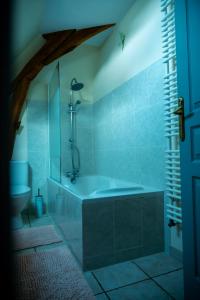 a bathroom with a bath tub and a toilet at Chouette Nuit in Thenay