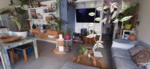 a living room filled with lots of potted plants at L'Art'Home à Carnon Plage in Mauguio