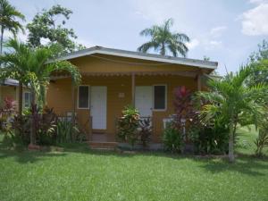 a house with palm trees in front of it at Ansells Thatch Walk Cottages in Negril