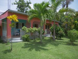a house with palm trees in front of it at Ansells Thatch Walk Cottages in Negril