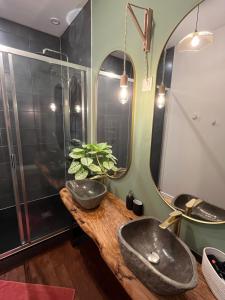 two sinks in a bathroom with two mirrors at La Galupe in Mont-de-Marsan +9 photos