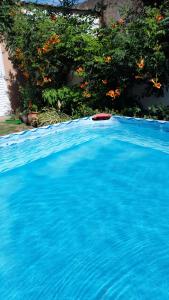 a large pool of blue water with a frisbee in it at Felicità in Realicó