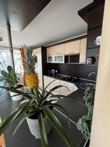 a kitchen with a table with a pineapple on it at Spokój u Zosi in Stare Bystre