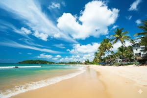 a beach with palm trees and the ocean at Charlotte's Coral Breeze - A Colonial Seaside Bungalow in Hikkaduwa