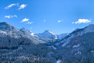 a view of a mountain valley with trees at Appartamenti LITEGOSA casa vacanza 1 in Panchià +3 photos