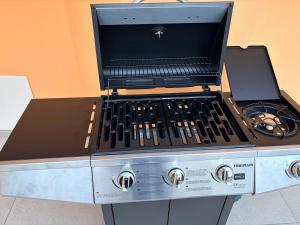 un forno a piano cottura posto sopra un bancone di Casa Hanna Garden a Verbania Altre 46 foto