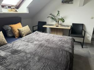 a bedroom with a bed and a table and chairs at Tiny Studiowohnung Bahnhofstrasse 20 in Netzschkau