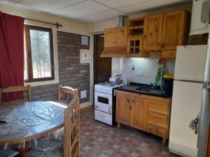 a kitchen with a white refrigerator and a stove at Cabañas Soledad in Potrerillos