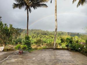 Gallery image of Nvoyages Plantataion Stay Coorg in Madikeri
