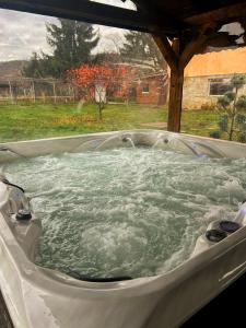 una vasca idromassaggio con acqua in cortile di Guesthouse Greenview a Drenovo