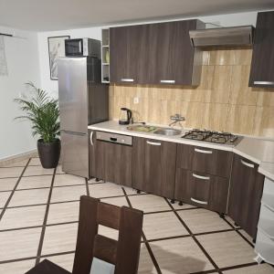 a kitchen with a sink and a refrigerator at Agroturystyka u Janosika in Bozkow +16 photos