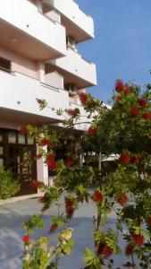 Zahrada ubytování Apartments Katarina
