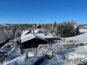 ein schneebedecktes Haus mit Bäumen und Sträuchern in der Unterkunft Haus PANORAMA - Appartement Auszeit 3 in Braunlage + 14 Fotos
