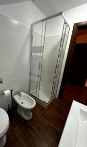 a bathroom with a shower and a toilet and a sink at Sky Borsa in Statjunea Borsa +9 photos