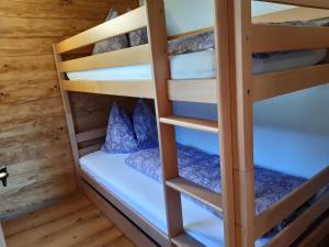 a bunk bed room with bunk beds in a cabin at Ferienwohnung Schwalbennest in Hopfgarten im Brixental