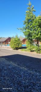 Naturlandskabet i nærheden af lejligheden