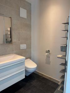 un bagno con un water, un lavandino e uno specchio di bnb Valais - by La Sittelle a Grimisuat