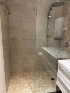 un bagno con doccia con porta in vetro di bnb Valais - by La Sittelle a Grimisuat Altre 16 foto