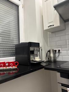 een keuken met een magnetron en een koffiezetapparaat op een aanrecht bij Apartament Leonardo in Bolesławiec +16 foto's