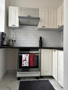 een keuken met witte kasten en een oven bij Apartament Leonardo in Bolesławiec