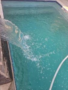 a dolphin in the water in a pool at One Bedroom Apartment B in Kempton Park