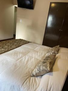 een wit bed met een kussen erop bij Hotel Casa del Peregrino in Salta