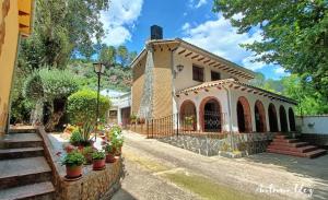 a house with potted plants in front of it at Casa Rural Ruiz Hernando in Villanueva del Arzobispo