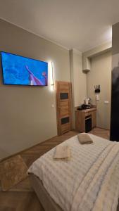 a bedroom with a bed and a tv on the wall at Delux Apartament z jacuzzi in Pszczyna +5 photos