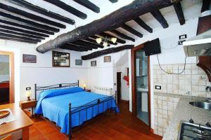 een slaapkamer met een blauw bed in een kamer met een wastafel bij Agriturismo La Conte in Lucca +52 foto's