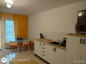 Kuchyň nebo kuchyňský kout v ubytování Casa Albinelor