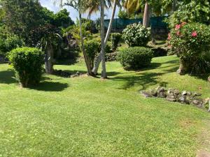 a yard with green grass and palm trees and bushes at Appartement l'écrin in Saint-Claude