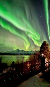un'immagine dell'aurora boreale nel cielo di Malangen Lodge a Mestervik