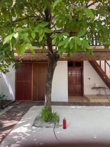 a tree in front of a house with a red fire hydrant at Travel Lodge by Rashuthere in Rasdu +20 photos
