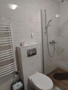 a white bathroom with a shower and a toilet at STAN NA DAN Stara Pazova in Stara Pazova +3 photos