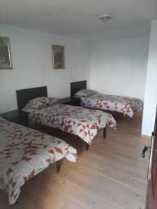 a room with two beds and a wooden floor at Pensiunea Ada in Balta Verde +15 photos