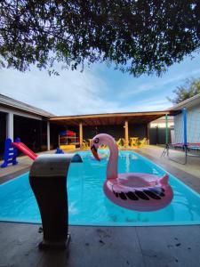 a swimming pool with a pink flamingo in the water at Casa de 3 quartos com piscina in Laranjeiras do Sul