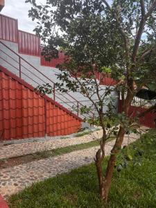 a tree in the grass next to a red fence at Casa Girasol PZ in San Isidro +11 photos
