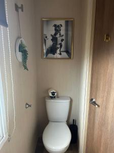a bathroom with a toilet with a picture on the wall at BZ Green Haven Caravan in Ballantrae +32 photos