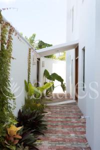 a hallway of a house with white walls and plants at Saules Sueño in Cancún