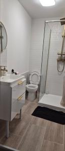 ein Badezimmer mit Toilette, Waschbecken und Dusche in der Unterkunft Blue K in Saint-Claude