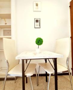 a table with chairs and a potted plant on it at Del Paseo al Mar in Mar del Plata
