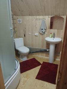 a bathroom with a toilet and a sink at Микуличин на долоні 2 in Mykulychyn