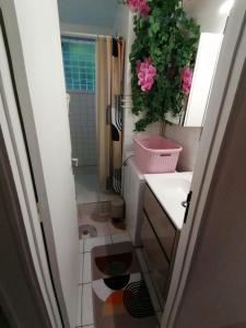 a bathroom with a sink and a potted plant at Les Orchidées - classé 3 étoiles -Plage à 5 mn in Sainte-Anne +8 photos