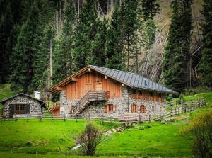 a log cabin in a field with a mountain at Malga Valmaggiore in Bellamonte