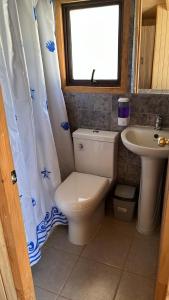 een badkamer met toilet en wastafel bij cabañas walls 3 in Pucón