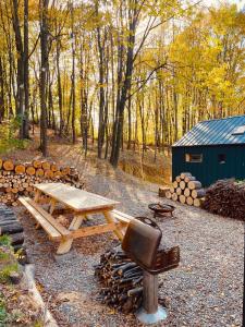 ein Picknicktisch und ein Stuhl neben einem Wald in der Unterkunft Forester Cabin in Telega
