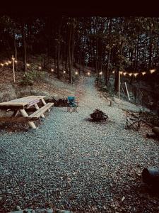 Eine Gruppe von Picknicktischen im Wald bei Nacht in der Unterkunft Forester Cabin in Telega + 91 Fotos