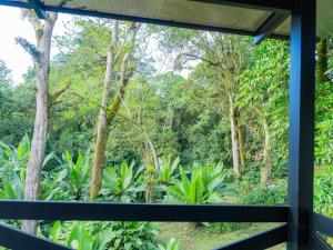 een uitzicht vanuit een raam van een bos bij Nido de Montaña in Fraijanes