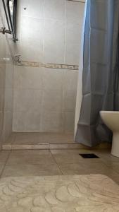 a bathroom with a shower with a toilet and a sink at Shakti in Almafuerte
